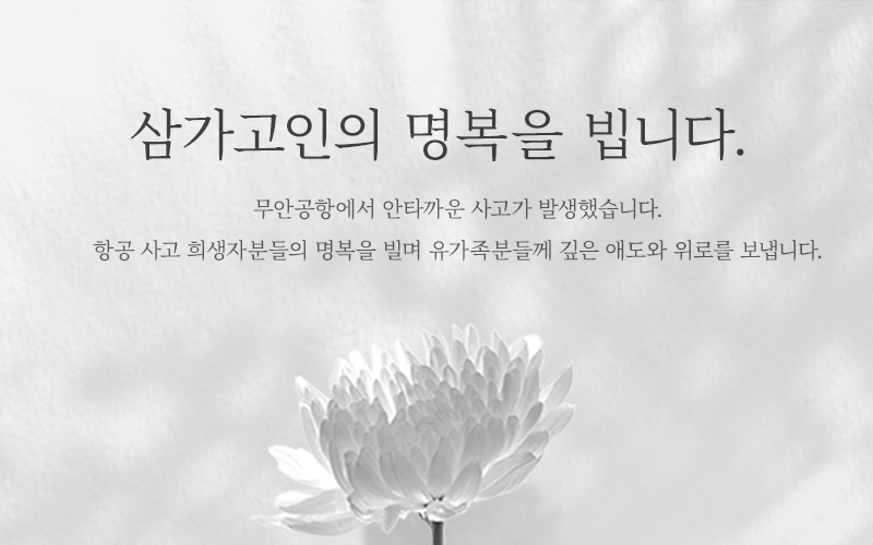 팝업 배너 이미지